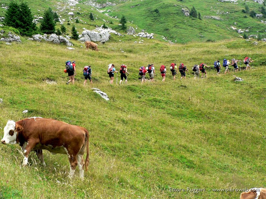 11 - dal rifugio Brazza  ... tutti in fila.jpg